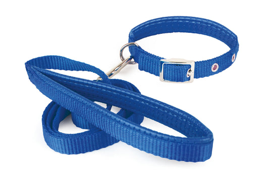Collar con Correa Soft