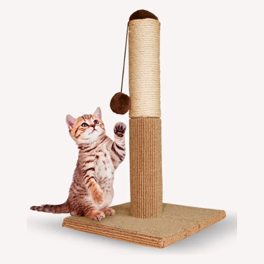 KIT 4 - Gatito Interior