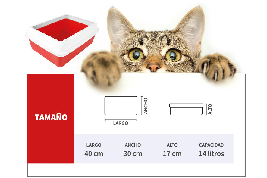 Arenero