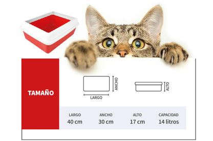 Arenero