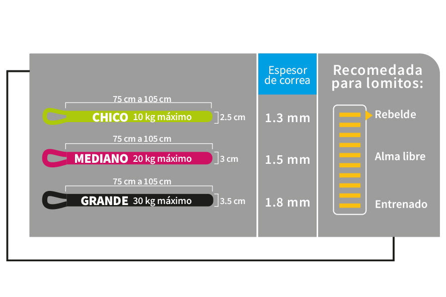Cinturón de Seguridad Universal 2 en 1