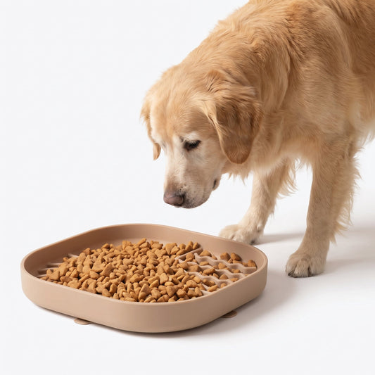 Comedero Lento de Silicona para Perro y Gato