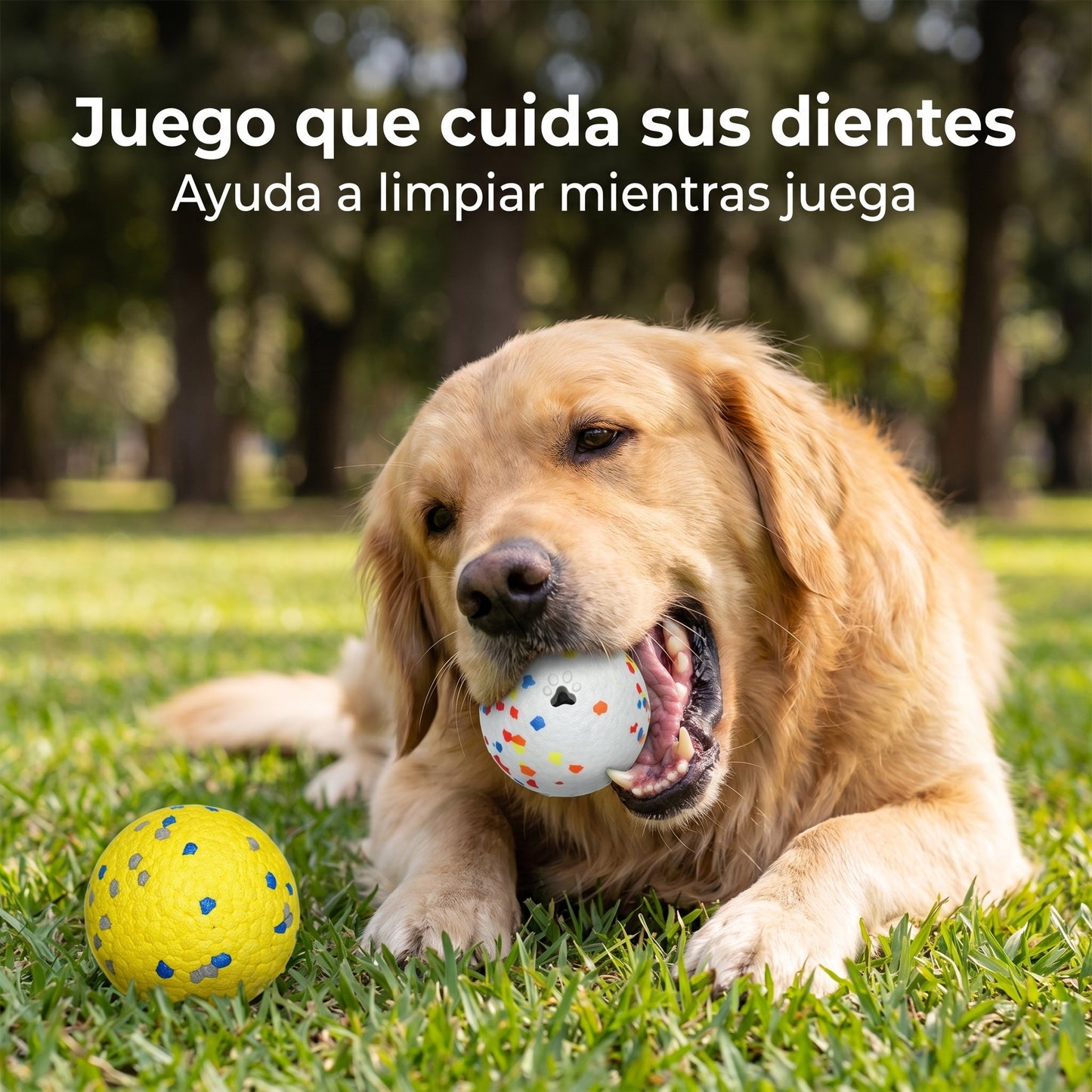 Pelota dental para perro