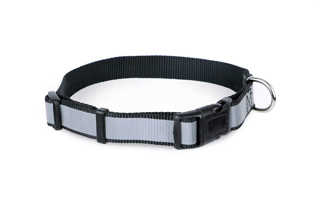 Collar Ajustable con Reflectante