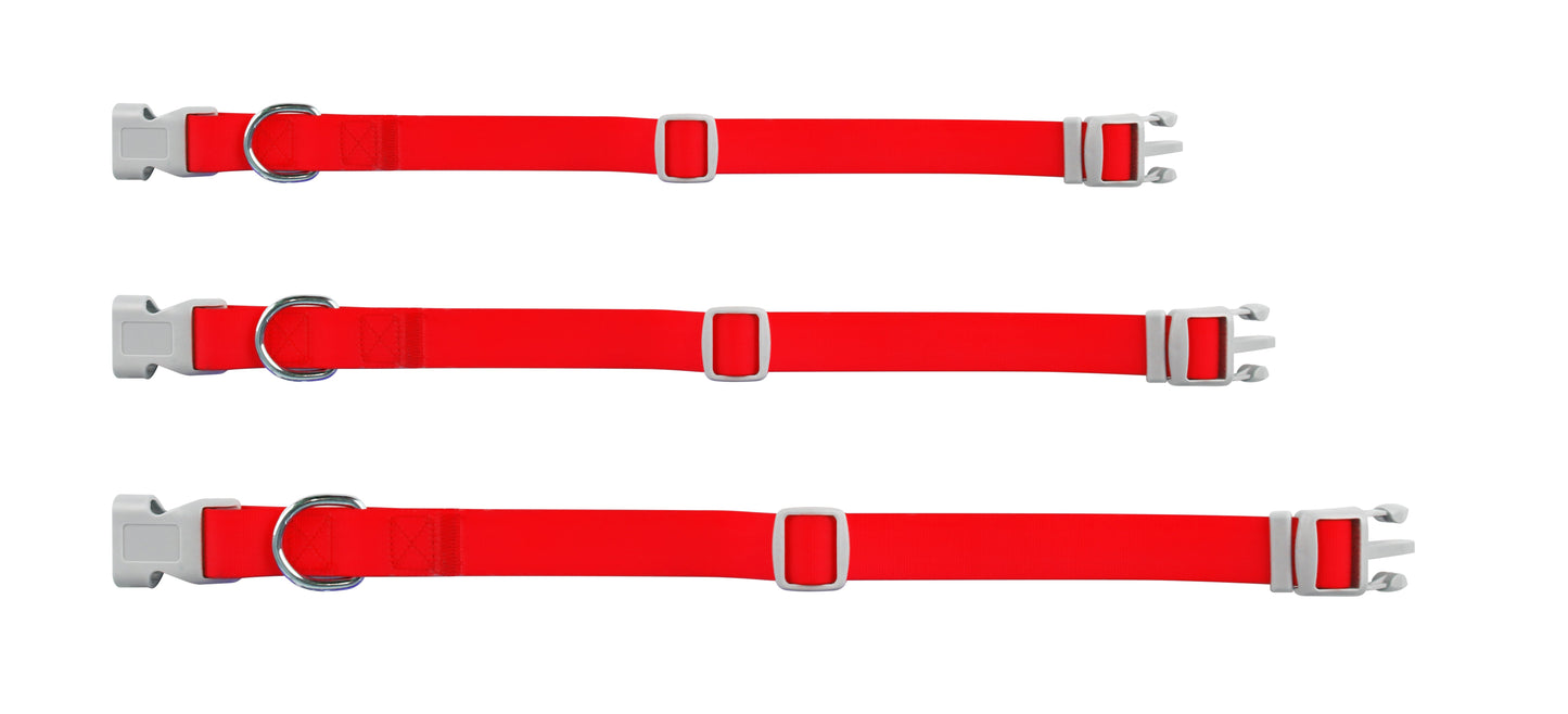 Collar Ajustable contra Agua
