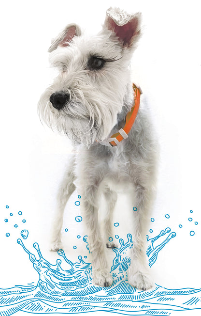 Collar Ajustable contra Agua