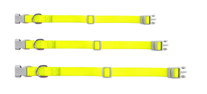 Collar Ajustable contra Agua