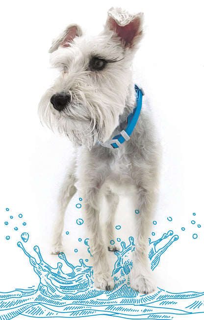 Collar Ajustable contra Agua