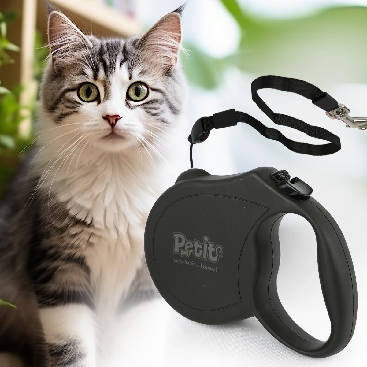 Retractable Leash