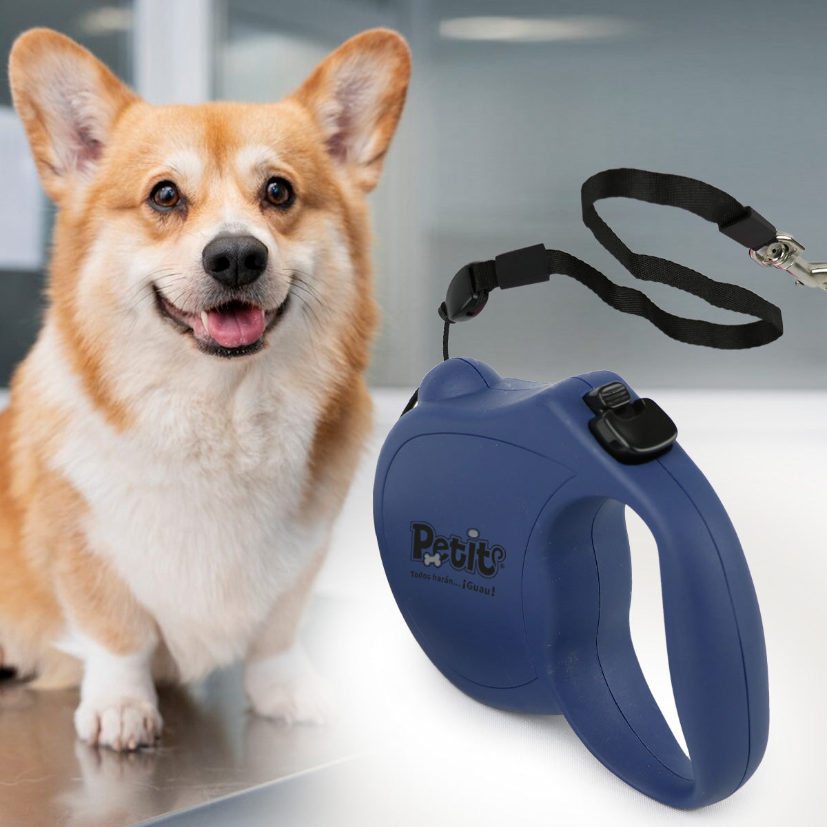Retractable Leash