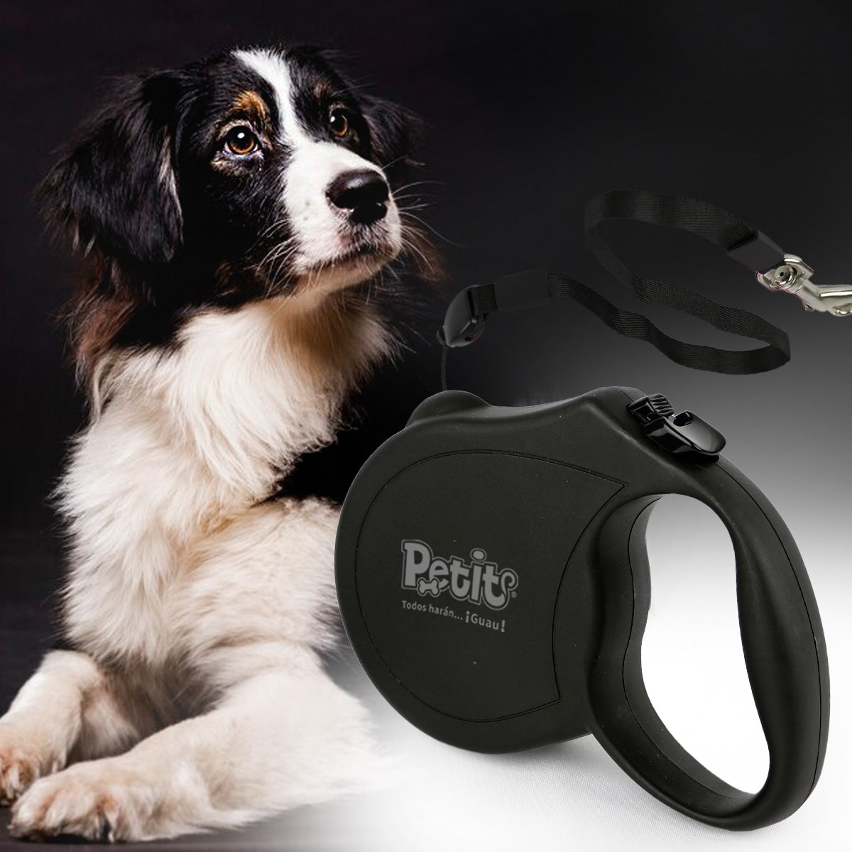 Retractable Leash