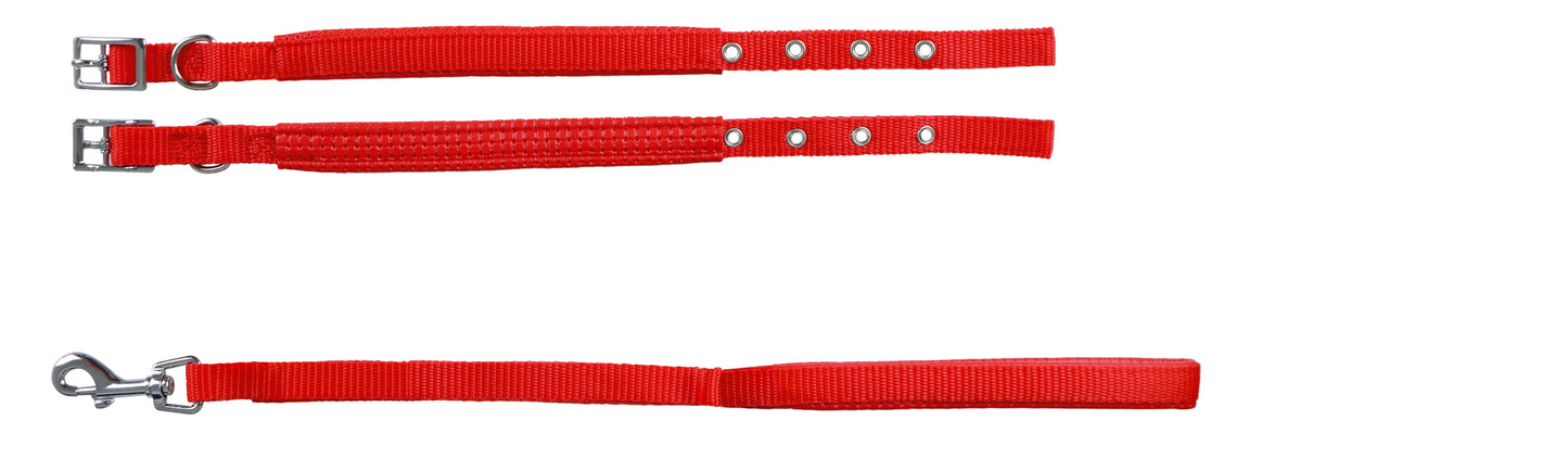 Collar con Correa Soft
