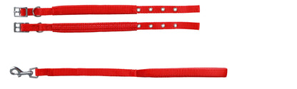 Collar con Correa Soft