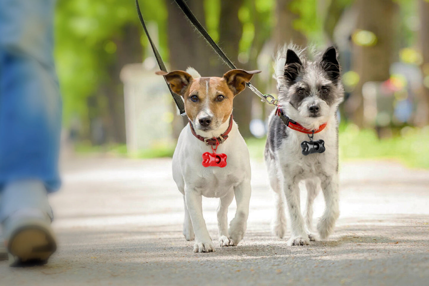 Dog Poop Bag Dispenser 2 pcs