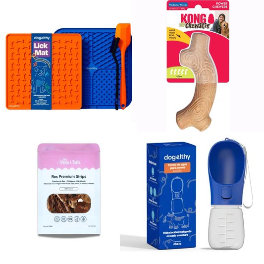 KIT 5 - Home office