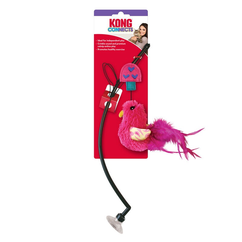KIT 4 - Gato de interior